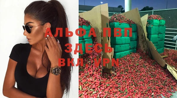 гашик Абаза